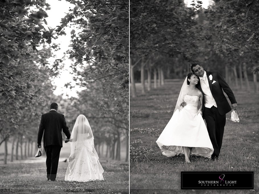 Homebush Bicentennial Park Waterview Wedding Photographer