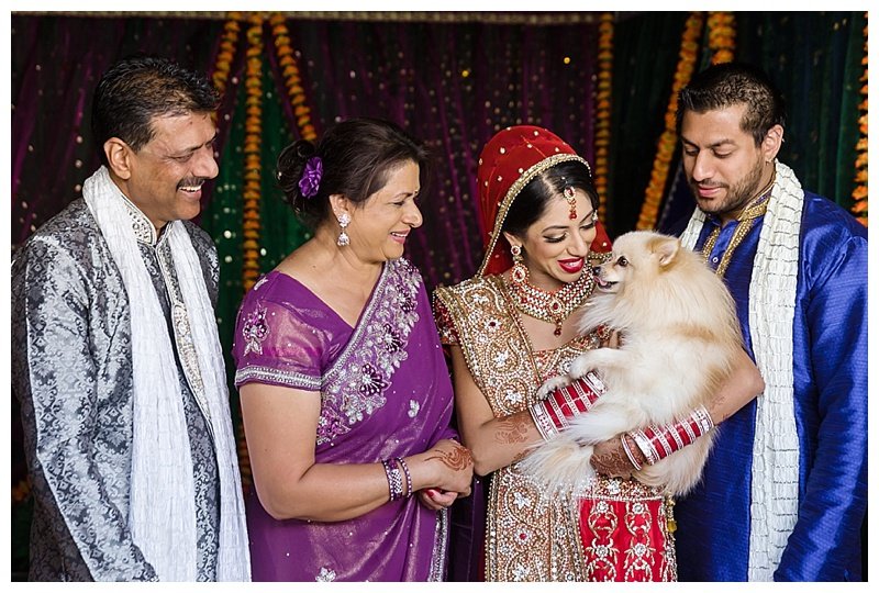 sydney-indian-wedding-photographer-_0056.jpg sydney-indian-wedding-photographer-_0056.jpg